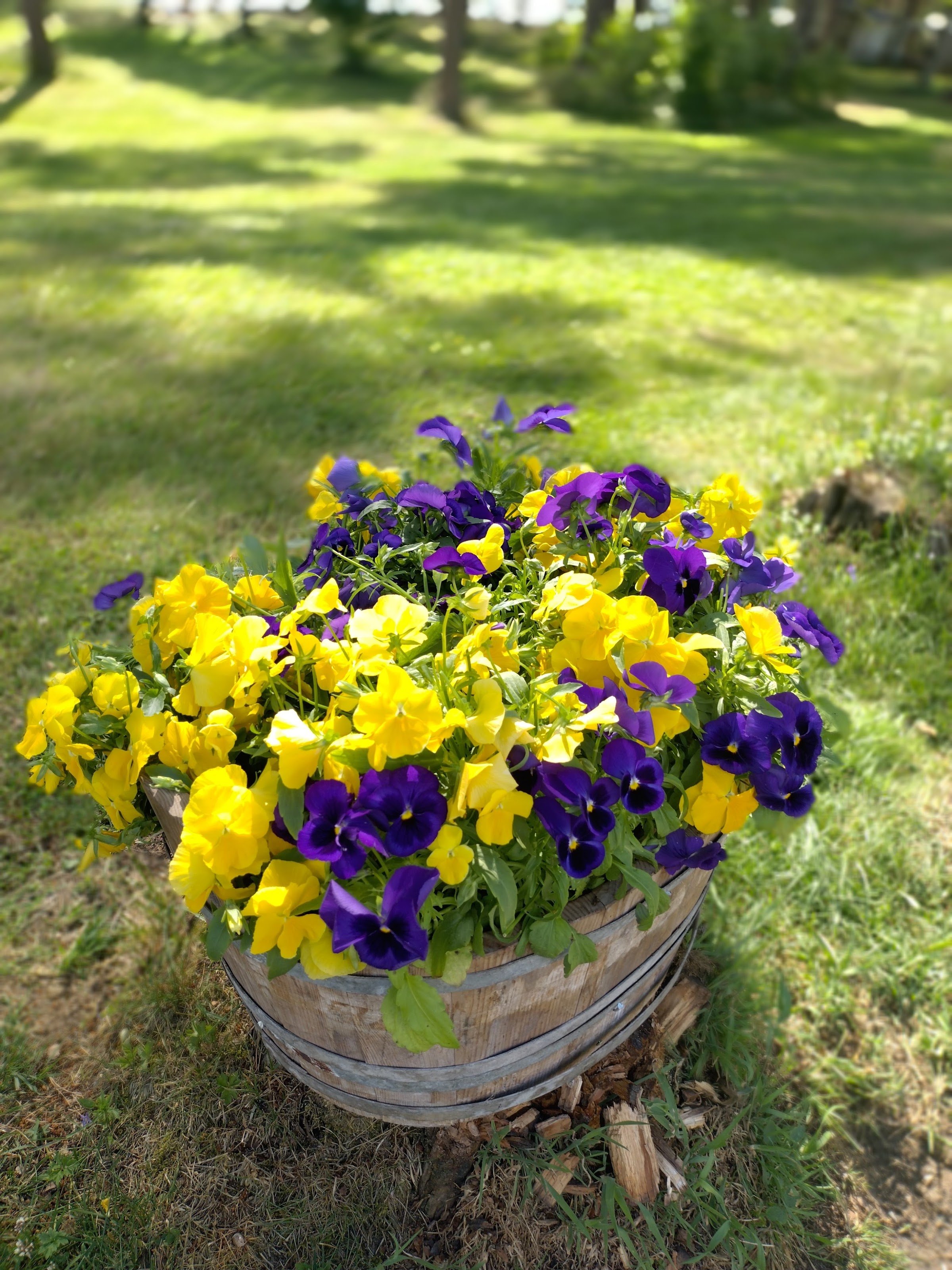 Holsljunga Camping & Café